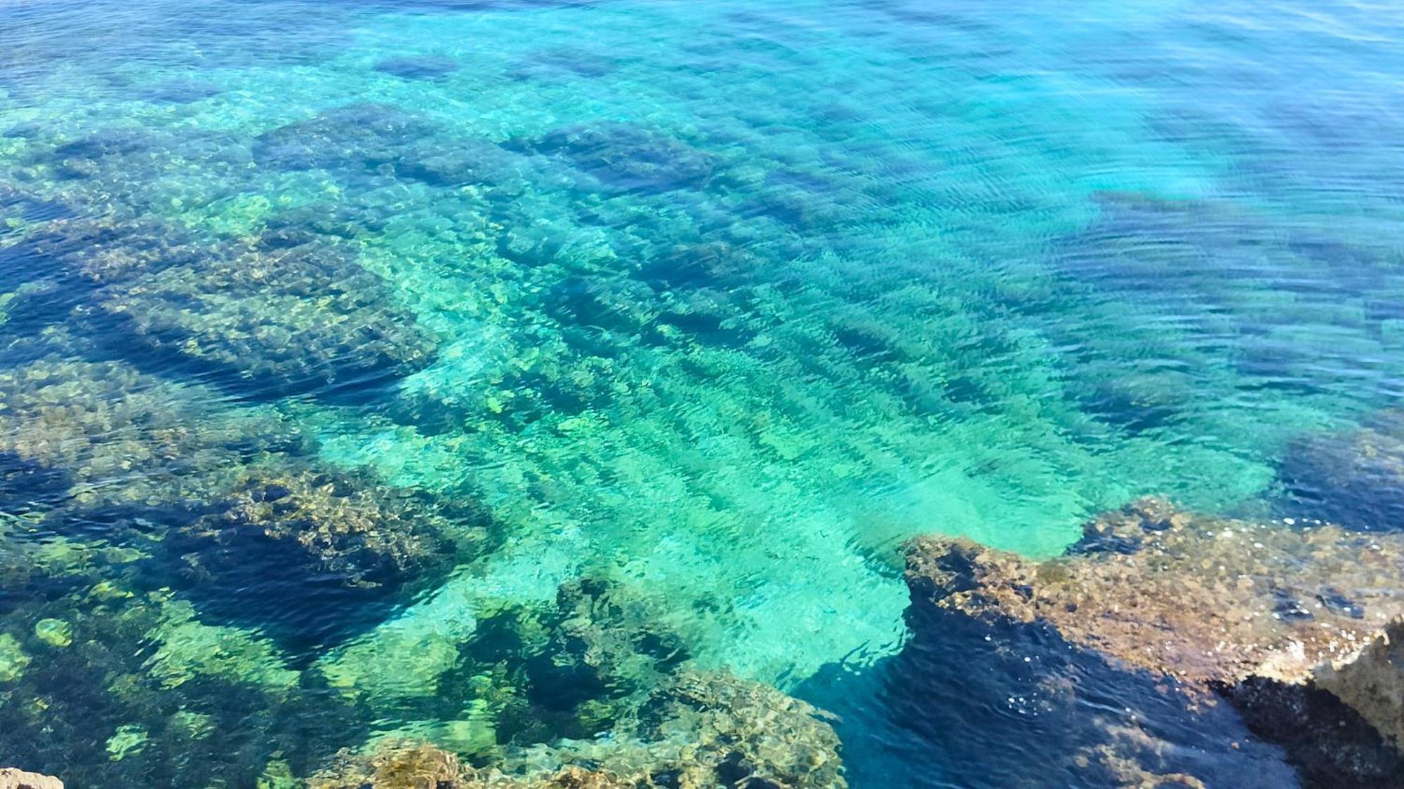 Sicilia Bedda Villa Custonaci Luaran gambar